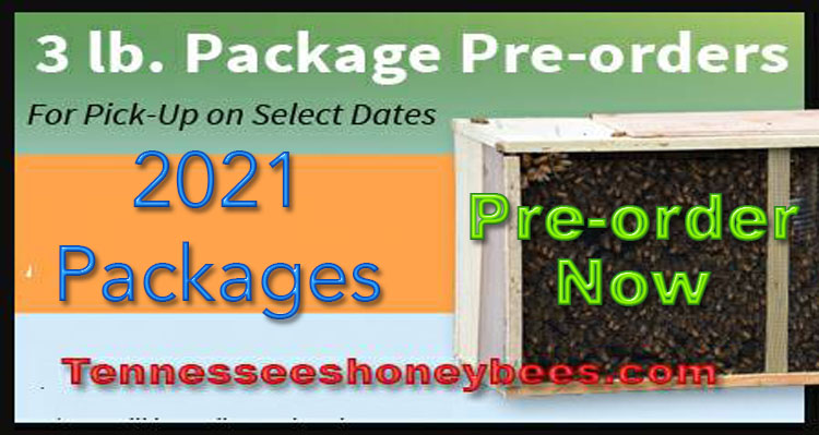 3 lb Package of Honey Bees - 2021